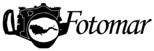 Logo completo