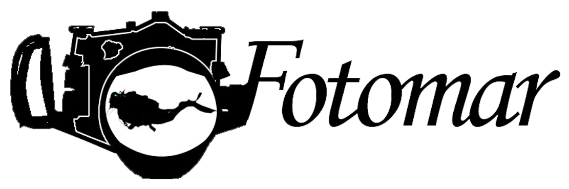 logo-solo-1