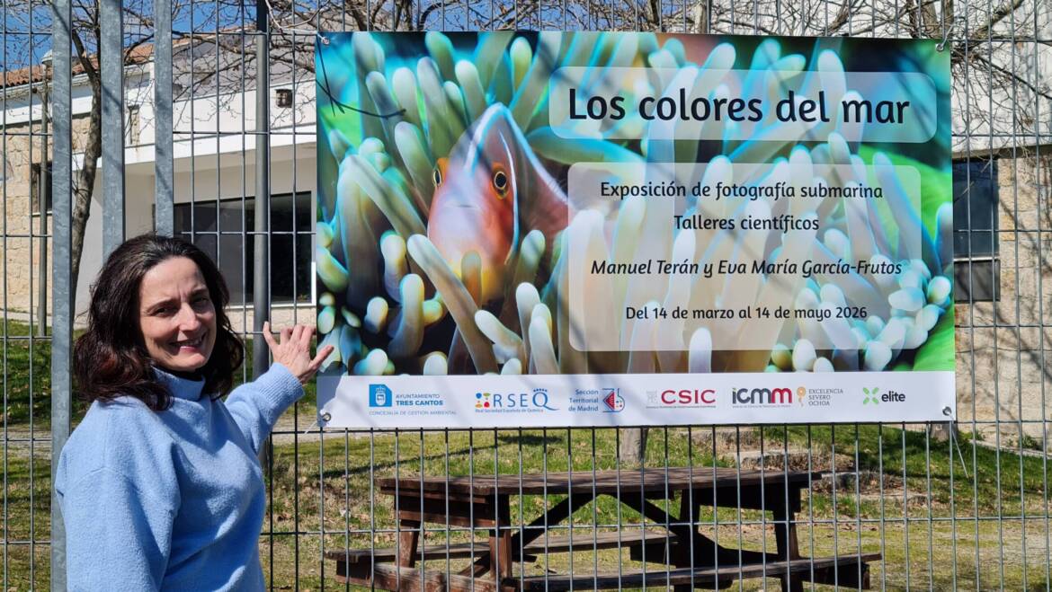 Exposición fotografía submarina
